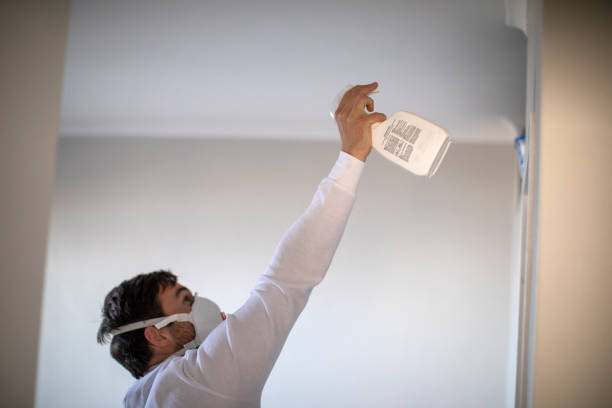 Best Same-Day Mold Removal  in Parker, SC