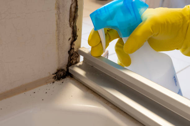 Best Crawl Space Mold Removal  in Parker, SC