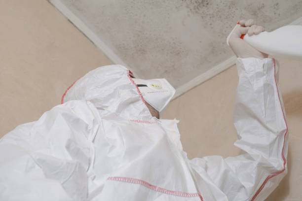 Parker, SC Mold Removal Company