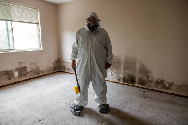 Best Residential Mold Removal  in Parker, SC