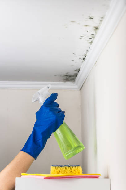 Water Damage Restoration in Parker, SC